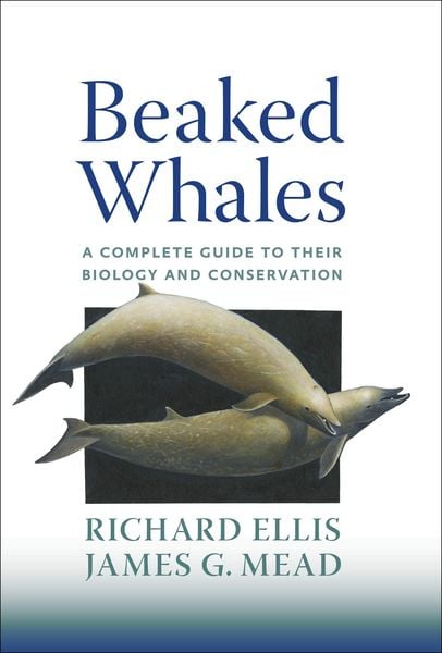 Produktbild: Beaked Whales