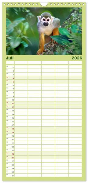 Produktbild: Familienplaner 2026 - Hallo Dschungel - Artwork mit 5 Spalten (Wandkalender, 21 x 45 cm) CALVENDO