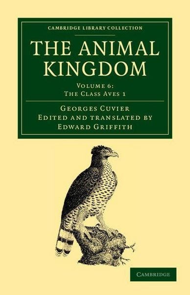 Produktbild: The Animal Kingdom - Volume 6
