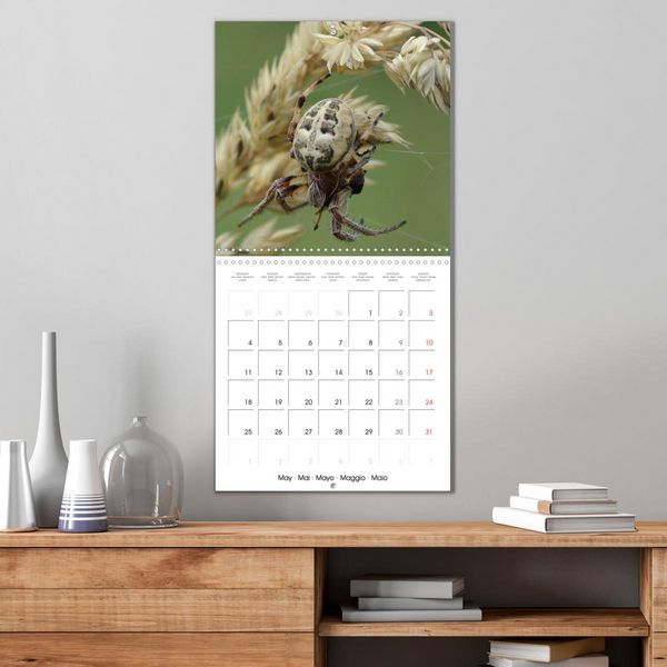 Produktbild: Spiders and Tarantulas (Wall Calendar 2026 12 &times; 12 Inch) CALVENDO 12 Month Wall Calendar
