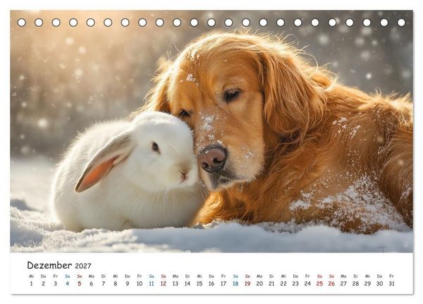 Produktbild: Wenn Tiere Freunde werden (Tischkalender 2027 DIN A5 quer), CALVENDO Monatskalender