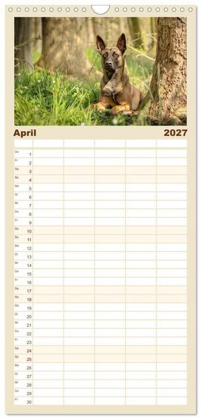 Produktbild: Familienplaner 2027 - Mit dem Malinois durch das Jahr mit 5 Spalten (Wandkalender, 21 x 45 cm) CALVENDO