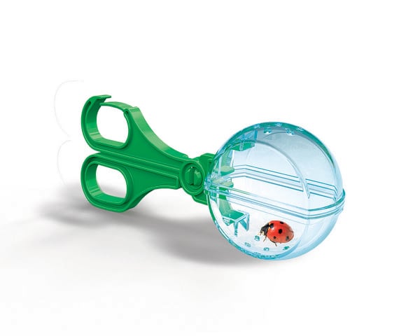 Produktbild: Galileo Meine mobile Insekten-Station