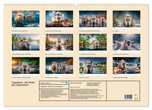 Produktbild: Capybara - die Ruhe als Lebensform (Wandkalender 2027 DIN A2 quer), CALVENDO Monatskalender