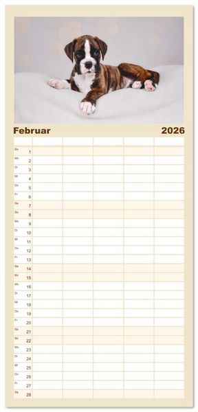 Produktbild: Familienplaner 2026 - Boxer Welpen einfach zuckers&uuml;&szlig; mit 5 Spalten (Wandkalender, 21 x 45 cm) CALVENDO