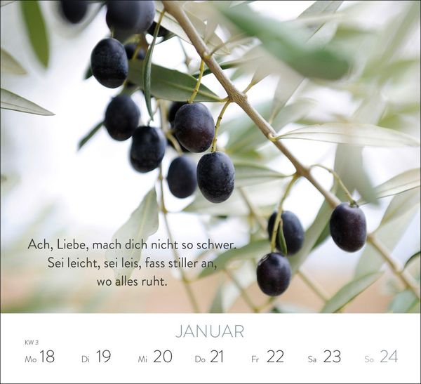 Produktbild: Wochenkalender 2027: Mit dem Herzen denken
