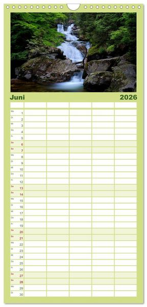 Produktbild: Familienplaner 2026 - Mysterium Wald mit 5 Spalten (Wandkalender, 21 x 45 cm) CALVENDO