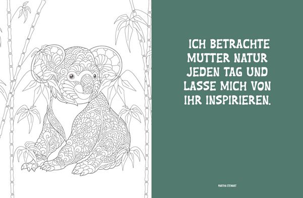 Produktbild: Colorful Mandala &ndash; Mandala &ndash; Dschungeltiere
