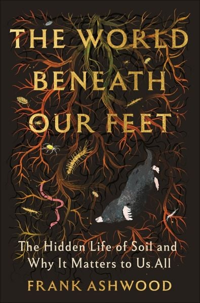 Produktbild: The World Beneath Our Feet