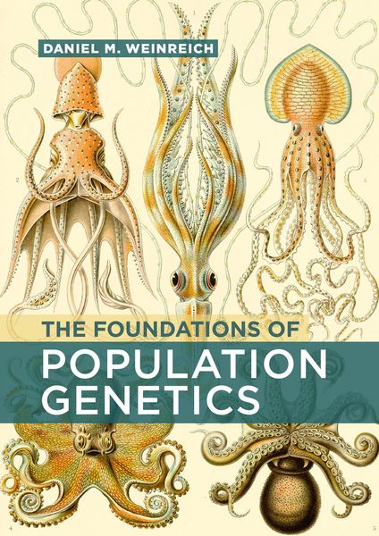 Produktbild: The Foundations of Population Genetics