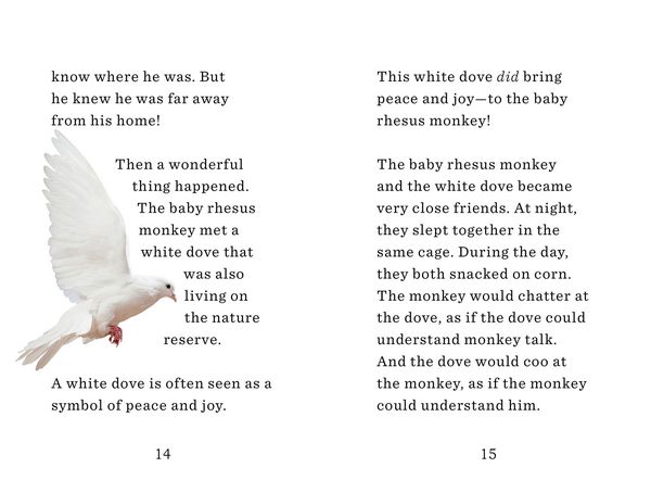 Produktbild: Holland, J: Monkey and the Dove