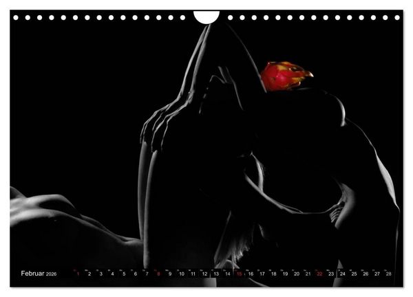 Produktbild: Fruit Nudes 2026 (Wandkalender 2026 DIN A4 quer), CALVENDO Monatskalender