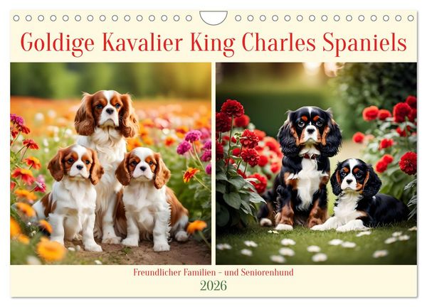 Produktbild: Goldige Kavalier King Charles Spaniels (Wandkalender 2026 DIN A4 quer), CALVENDO Monatskalender