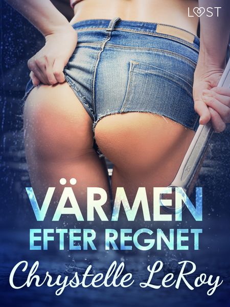 Produktbild: V&auml;rmen efter regnet - erotisk novell