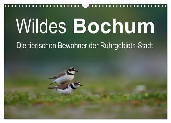 Wildes Bochum (Wandkalender 2025 DIN A3 quer), CALVENDO Monatskalender