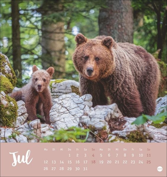 Produktbild: B&auml;renstark Postkartenkalender 2027