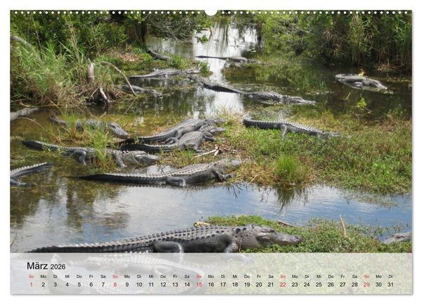 Produktbild: Gro&szlig;e Echsen. Krokodile und Alligatoren (hochwertiger Premium Wandkalender 2026 DIN A2 quer), Kunstdruck in Hochglanz