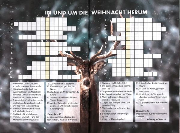 Produktbild: Das R&auml;tselbuch zur Weihnachtszeit