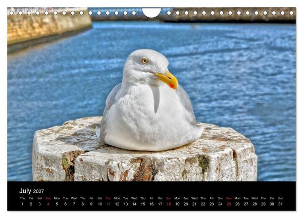 Produktbild: Whitby Harbour (Wall Calendar 2027 DIN A4 landscape), CALVENDO 12 Month Wall Calendar
