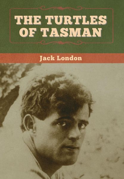 Produktbild: The Turtles of Tasman