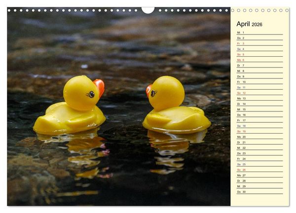 Produktbild: Enten-Rennen (Wandkalender 2026 DIN A3 quer), CALVENDO Monatskalender