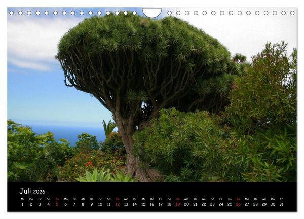 Produktbild: La Palma, Isla bonita (Wandkalender 2026 DIN A4 quer), CALVENDO Monatskalender
