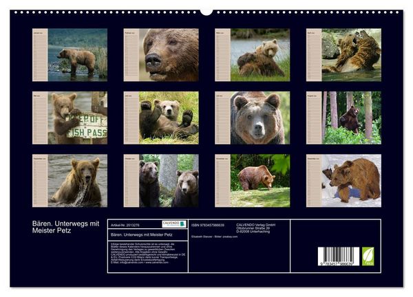 Produktbild: B&auml;ren. Unterwegs mit Meister Petz (hochwertiger Premium Wandkalender 2026 DIN A2 quer), Kunstdruck in Hochglanz