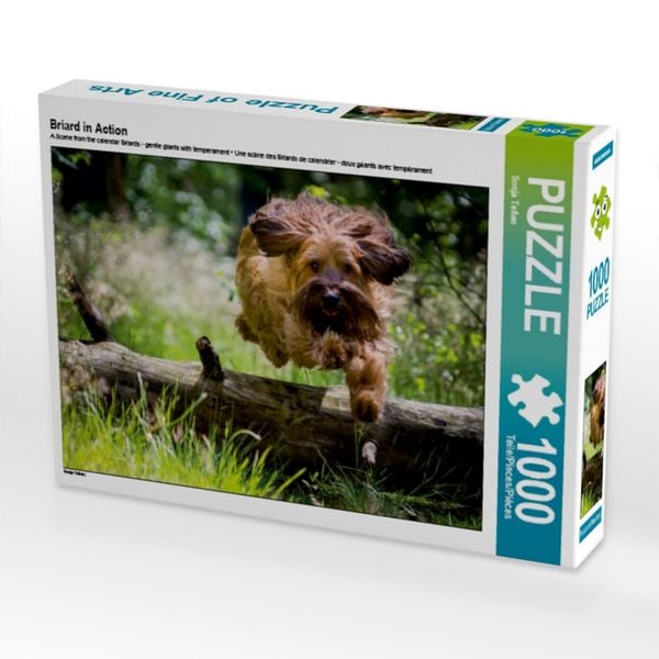 CALVENDO Puzzle Briard in Action | 1000 Teile Lege-Größe 64x48cm Foto-Puzzle für glückliche Stunden