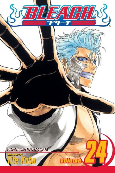 Produktbild: Bleach, 24