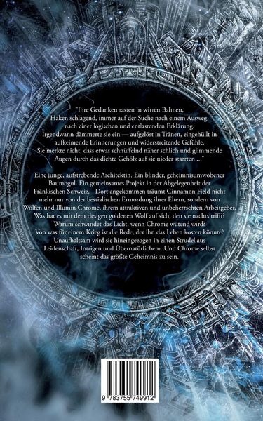 Produktbild: Berserkerblut Band 1