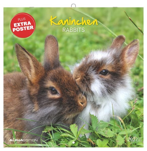 Produktbild: Kaninchen 2027