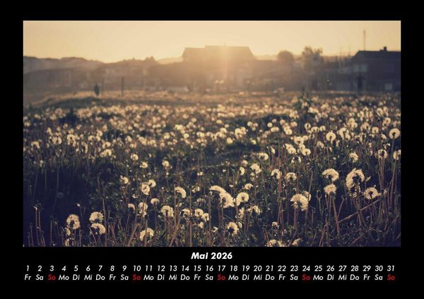 Produktbild: Bilder der Natur 2026 Fotokalender DIN A3
