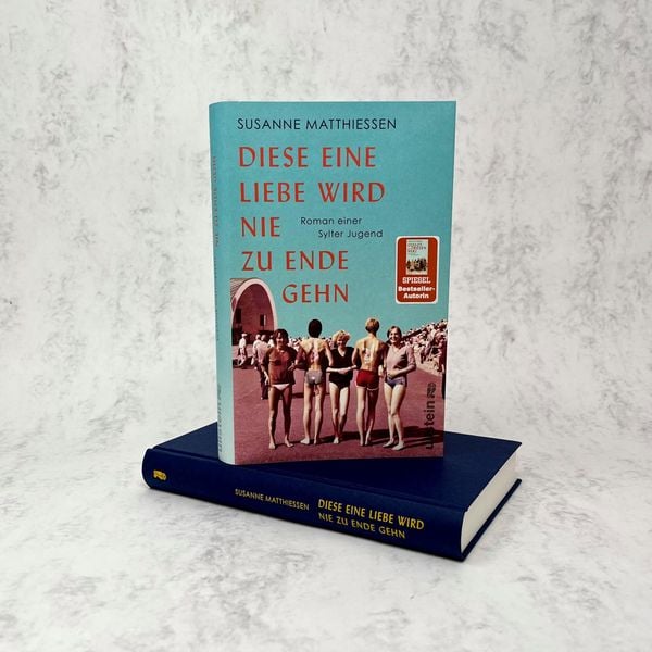 Produktbild: Diese eine Liebe wird nie zu Ende gehn
