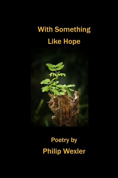 Produktbild: With Something Like Hope