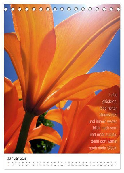 Produktbild: Licht Farbe Natur (Tischkalender 2026 DIN A5 hoch), CALVENDO Monatskalender