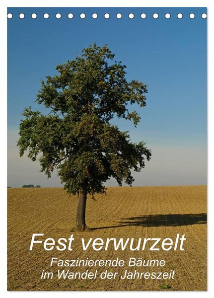 Produktbild: Fest verwurzelt - Faszinierende B&auml;ume im Wandel der Jahreszeit (Tischkalender 2026 DIN A5 hoch), CALVENDO Monatskalender