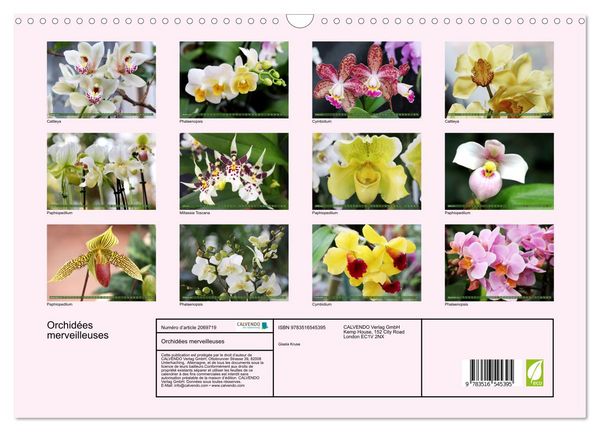 Produktbild: Orchid&eacute;es merveilleuses (Calendrier mural 2026 DIN A3 vertical), CALVENDO calendrier mensuel