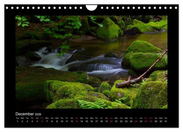 Produktbild: The Black Forest - UK Version (Wall Calendar 2026 DIN A4 landscape), CALVENDO 12 Month Wall Calendar
