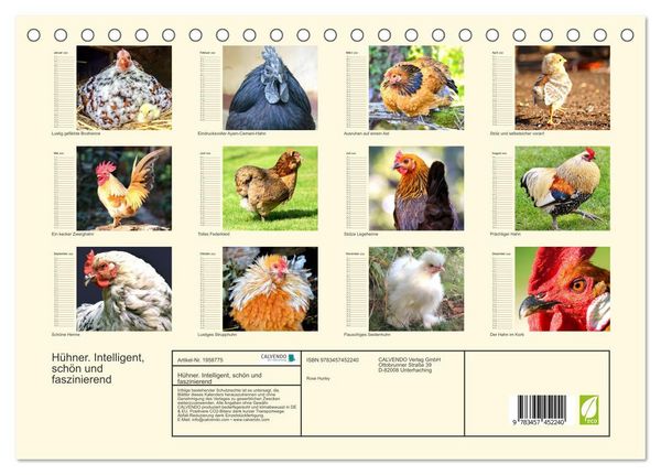 Produktbild: H&uuml;hner. Intelligent, sch&ouml;n und faszinierend (Tischkalender 2026 DIN A5 quer), CALVENDO Monatskalender