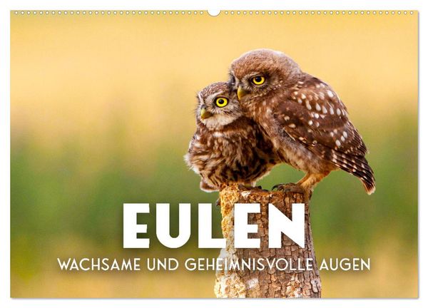 Eulen - Wachsame und geheimnisvolle Augen (Wandkalender 2026 DIN A2 quer), CALVENDO Monatskalender