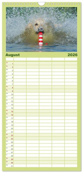Produktbild: Familienplaner 2026 - Das Gl&uuml;ck hat einen Namen - Golden Retriever mit 5 Spalten (Wandkalender, 21 x 45 cm) CALVENDO