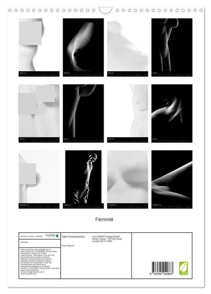 Produktbild: F&eacute;minit&eacute; (Calendrier mural 2027 DIN A3 horizontal), CALVENDO calendrier mensuel