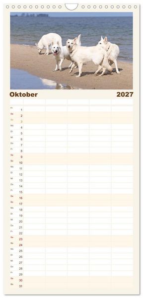 Produktbild: Familienplaner 2027 - Berger Blanc Suisse - Weggef&auml;hrten auf 4 Pfoten mit 5 Spalten (Wandkalender, 21 x 45 cm) CALVENDO