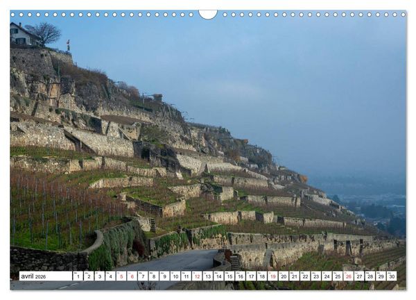 Produktbild: Entre France et Suisse, le lac L&eacute;man (Calendrier mural 2026 DIN A3 vertical), CALVENDO calendrier mensuel