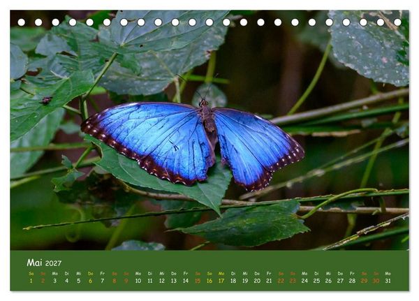 Produktbild: Costa Rica - Naturparadies zwischen Karibik und Pazifik (Tischkalender 2027 DIN A5 quer), CALVENDO Monatskalender