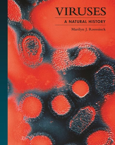 Produktbild: Viruses