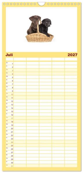 Produktbild: Familienplaner 2027 - Labrador - Welpen mit 5 Spalten (Wandkalender, 21 x 45 cm) CALVENDO