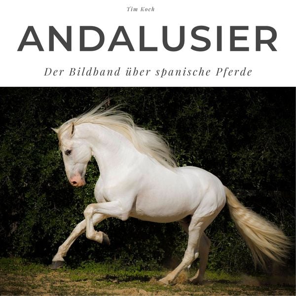 Produktbild: Andalusier