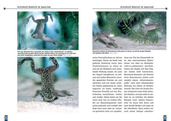 Produktbild: Der Zwergkrallenfrosch