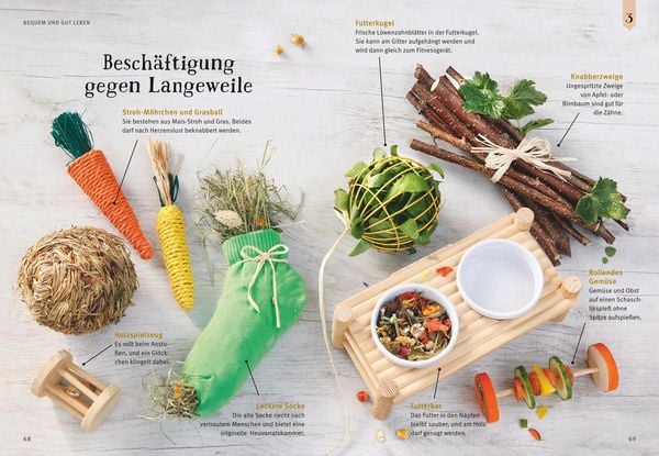 Produktbild: Neugierige Meerschweinchen